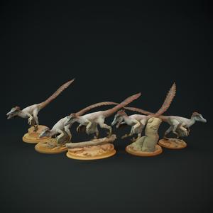 Velociraptor pack