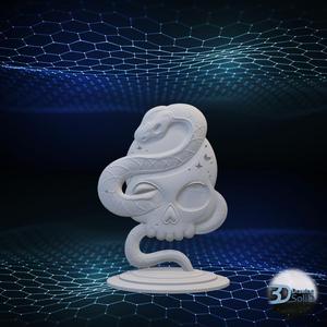 Snake Skull Decor
