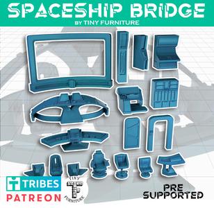 Spaceship Bridge