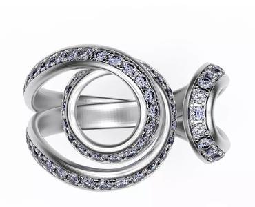 Ring Plexus