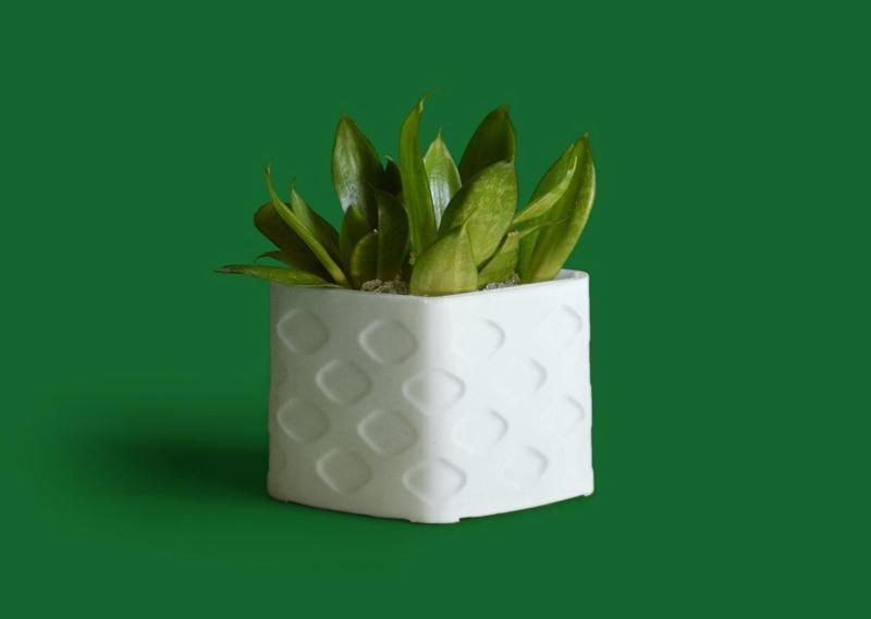 Plantr