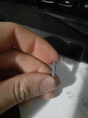 Bolt shotty for interstellar jarheads