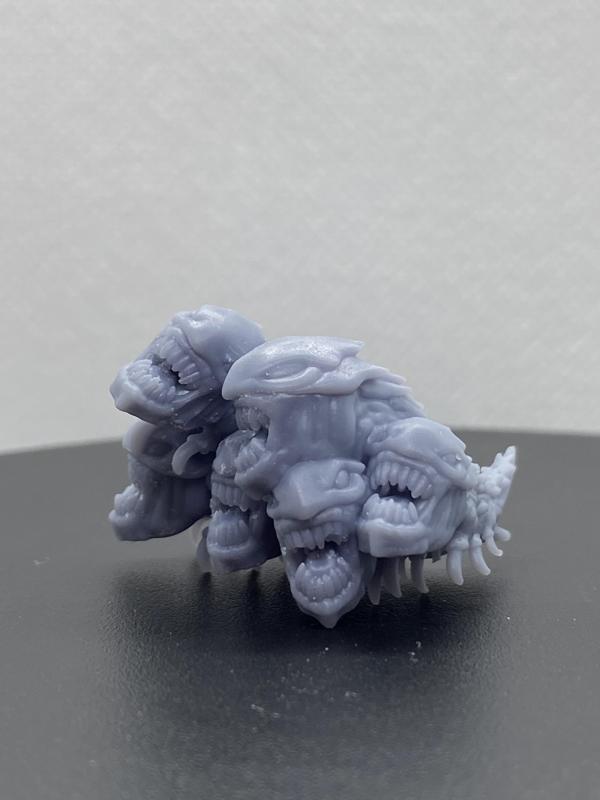 Ankle Biter Bugs