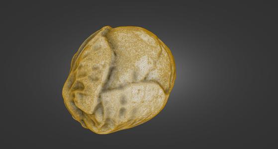Brussels Sprout Trio — Laser-Scanned 3D Models (500k, 800k, 1.2M OBJ/STL) — Whole + Halves - By ScanPantry