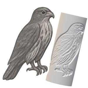 Falcon | Debossed Roller for Clay | Bird of Prey 3D Print Design