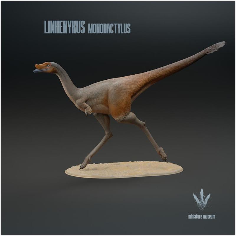 Linhenykus monodactylus : Run