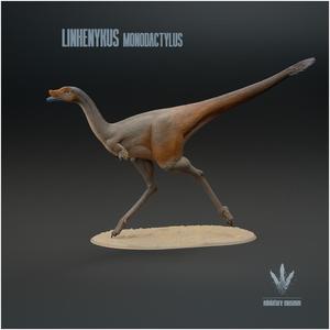 Linhenykus monodactylus : Run