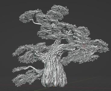 Oak Tree