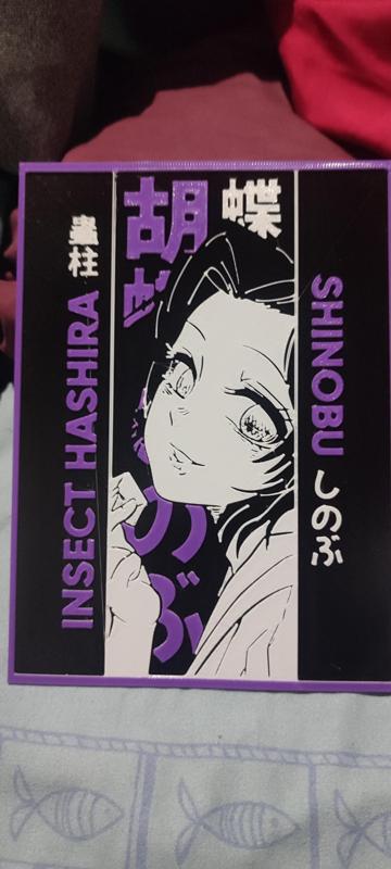 Picture Shinobu kocho
