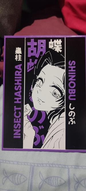 Picture Shinobu kocho