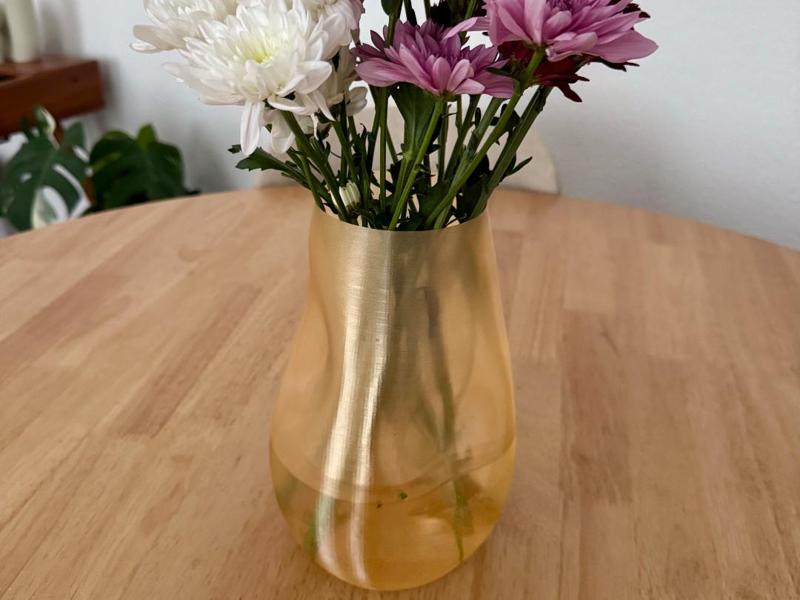 Modern, organic PETG Vase