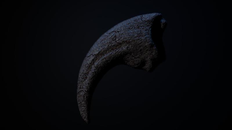 Real SUCHOMIMUS CLAW