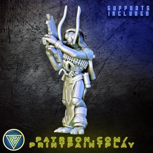 Insectfolk Commando