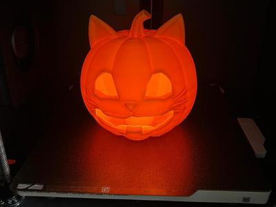 Pumpkin Lamp "Cat"