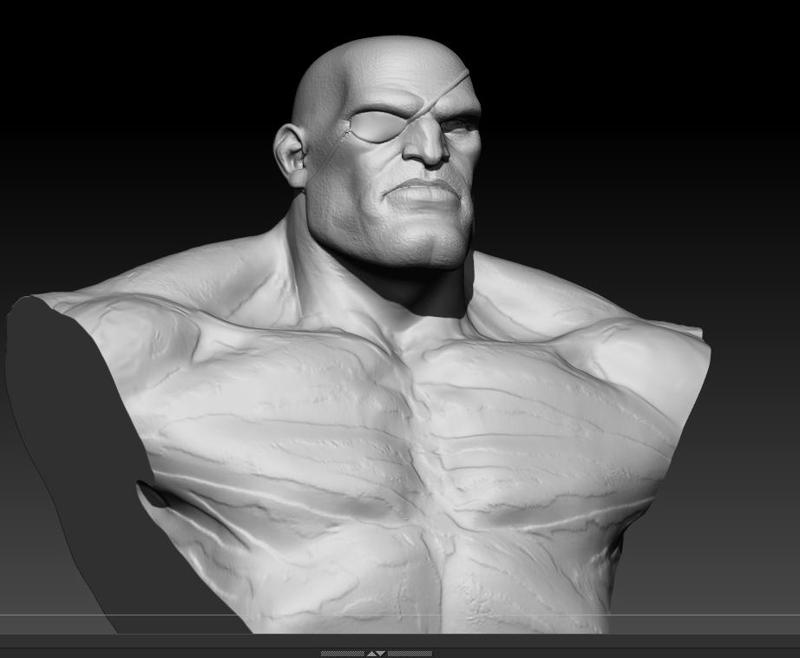 Sagat Bust from Street Fighter - Bust of Sagat from Street Fighter video game