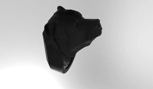 bear ring