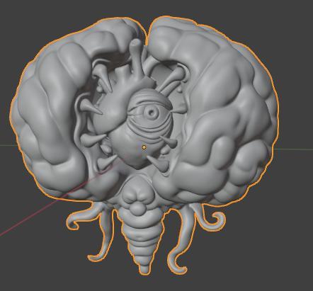 Brain of tchulu