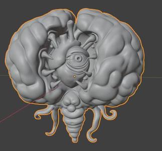 Brain of tchulu