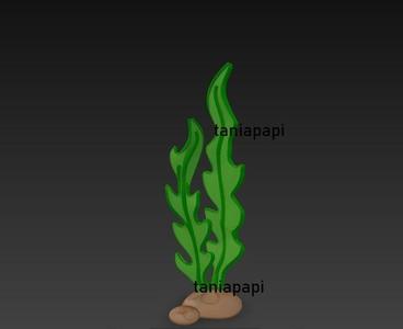 Seaweed