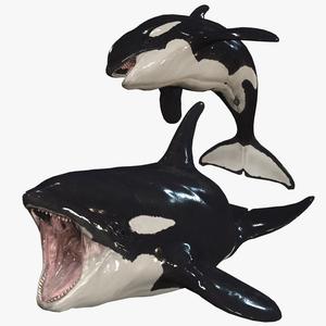 Download ORCA Whale SHARK Fish River water Rigged game ready 3D Model ANIMATED PRINTABLE