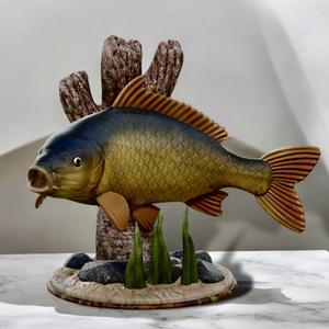 fish carp / Cyprinus carpio fish in motion sculpture underwater detailed texture for 3d printing