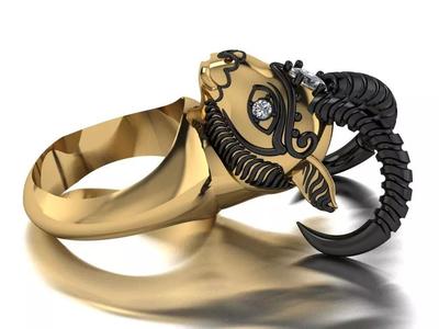 ram ring