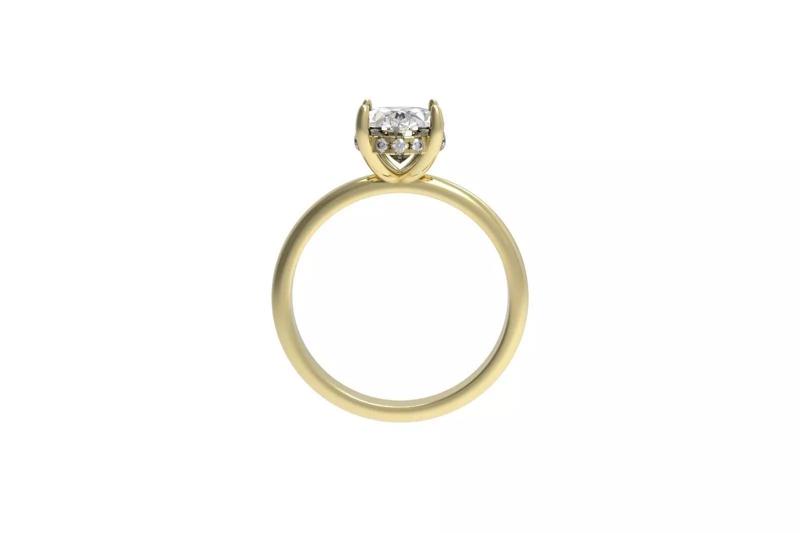 Engagement ring with hidden halo