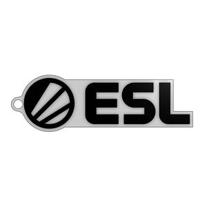 ESL keychain