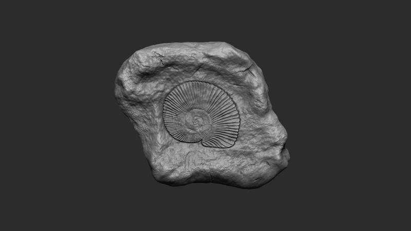 Ammonite Mineral Fossile - Realistic Printable and Keychain