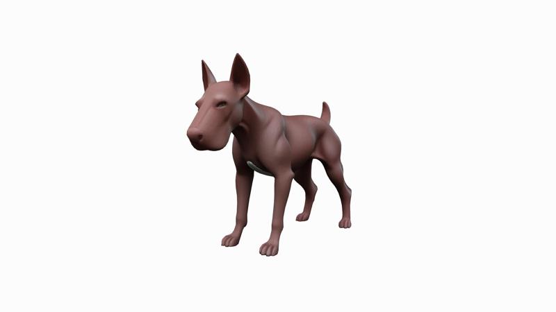 beautiful bull terrier