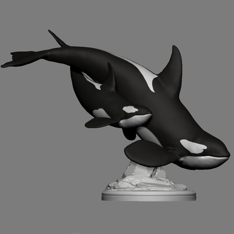 Orca and Calf
