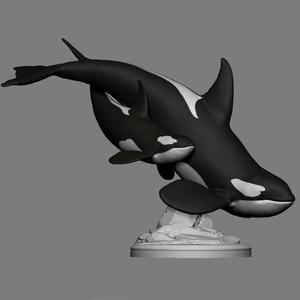 Orca and Calf