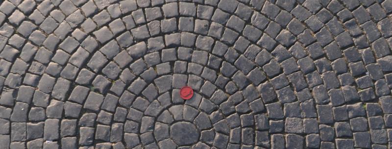 stock market flip coin , bear and bull