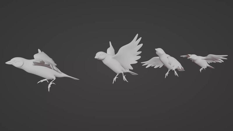 Canary Flying