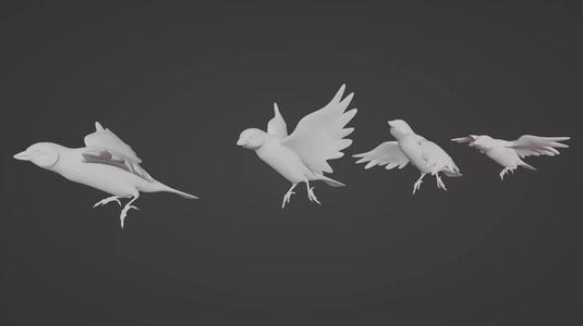 Canary Flying