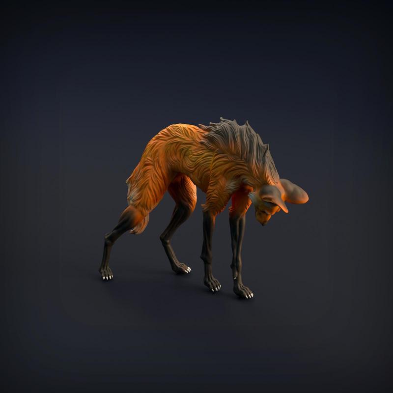 Maned Wolf