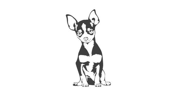 PINSCHER