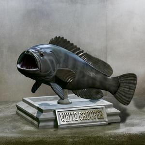 fish white grouper / Epinephelus aeneus trophy statue detailed texture for 3d printing
