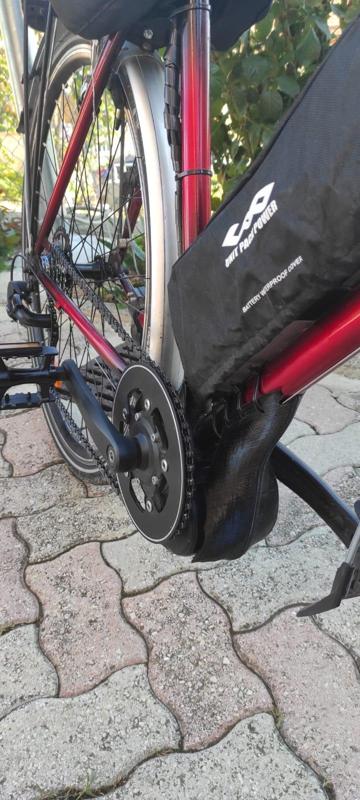 carter adaptable protection motor e-bike Tongsheng TSDZ2 Mid Motor 36V 48V 250W 350W 500W