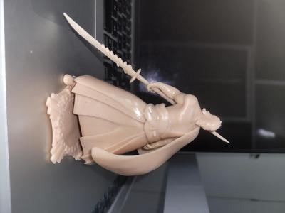 Ryoma aov