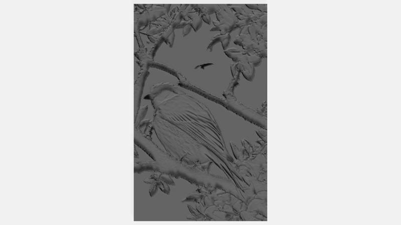 The beautiful bird in the tree