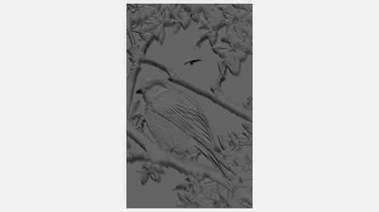 The beautiful bird in the tree
