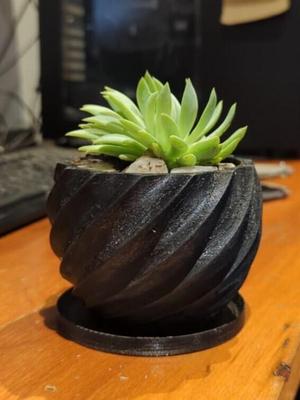 Spiral Flowerpot (small)