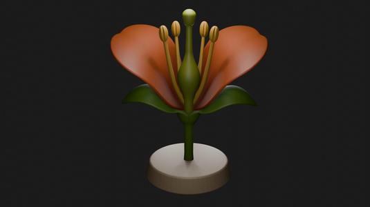 Anatomical flower with pistil, stamens, petals and sepals - 3D educational model