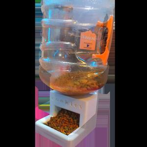 Automatic feeder for small dogs