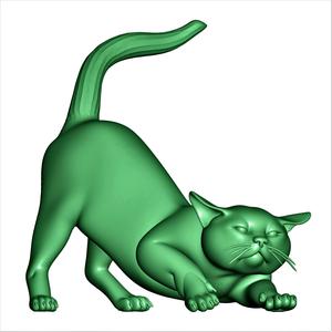 cat