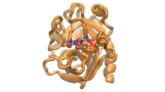 Trypsin