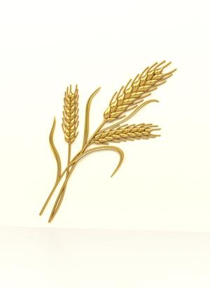 3d wheat file