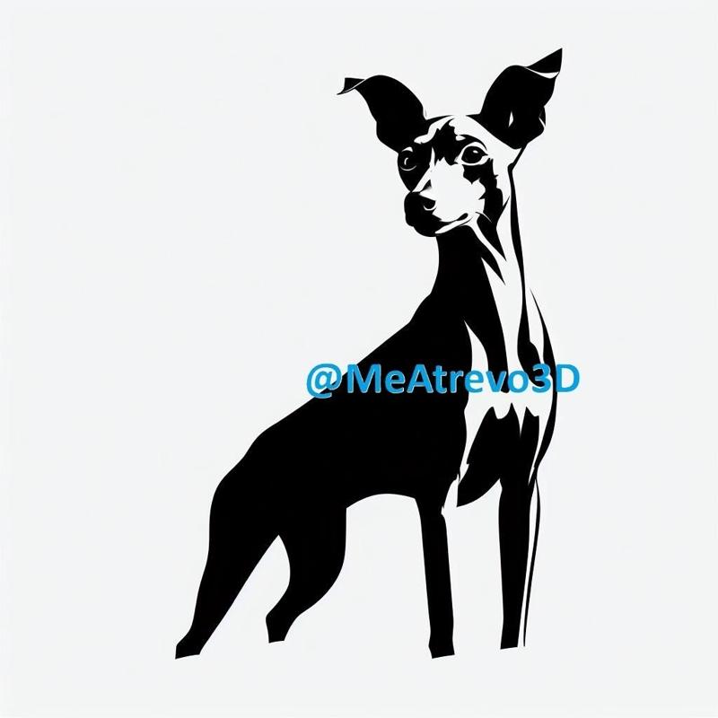 Miniature Pinscher #8