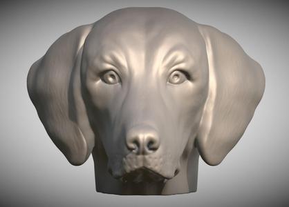 Weimaraner head for 3D printing